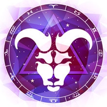 Características de Aries